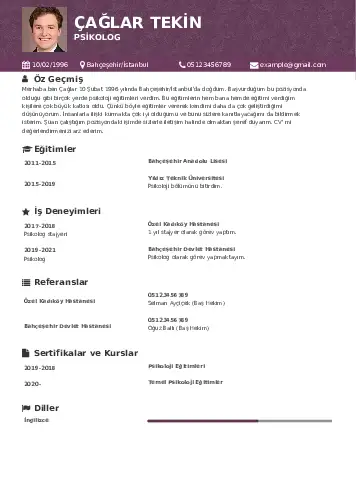 Psikolog CV Örnekleri cv indir